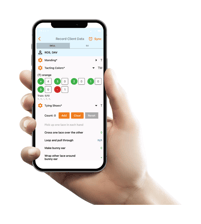 mobile app mobile app